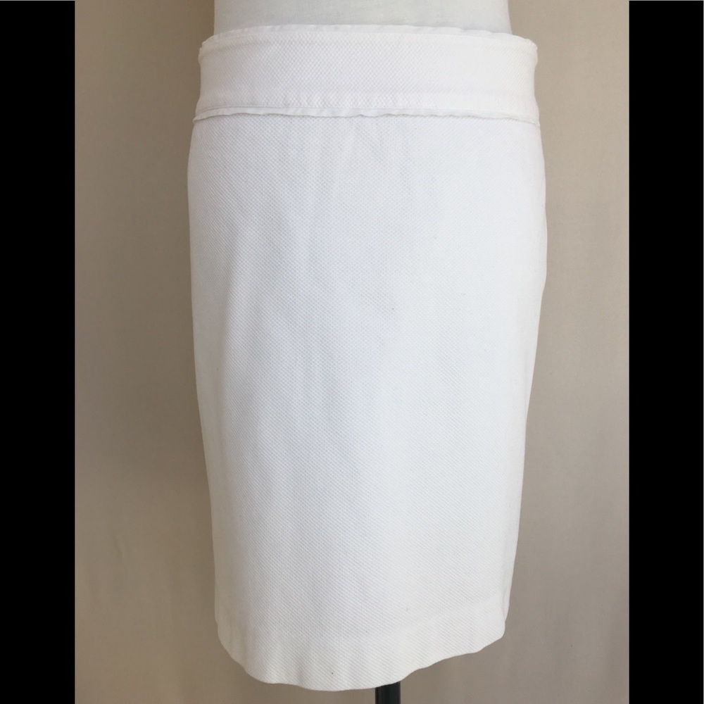 Vineyard Vines Fully Lined w/Side Zipper Skirt-10